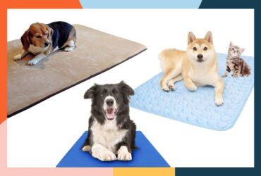 dog pads