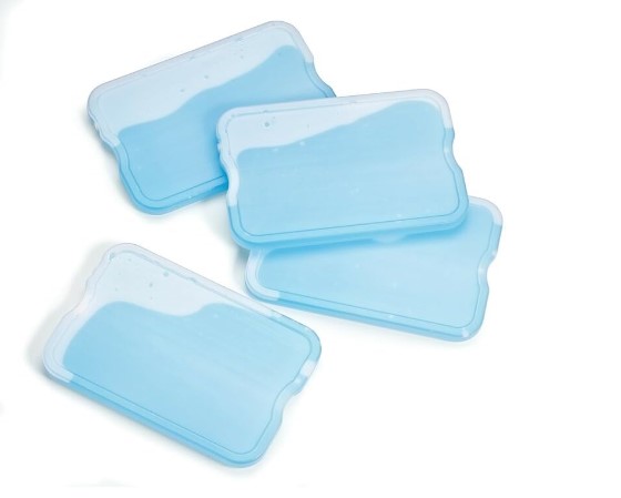 Ice Packs for Coolers